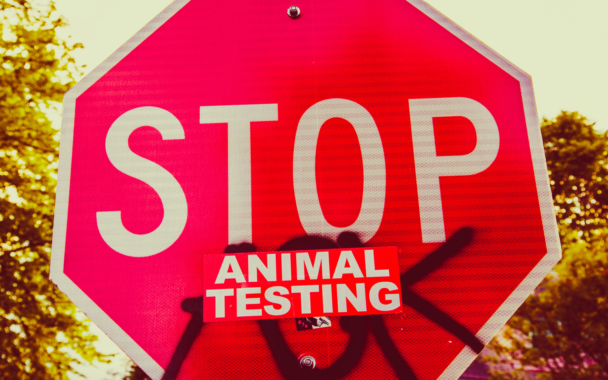 Animal Testing is uncalled for in 2024