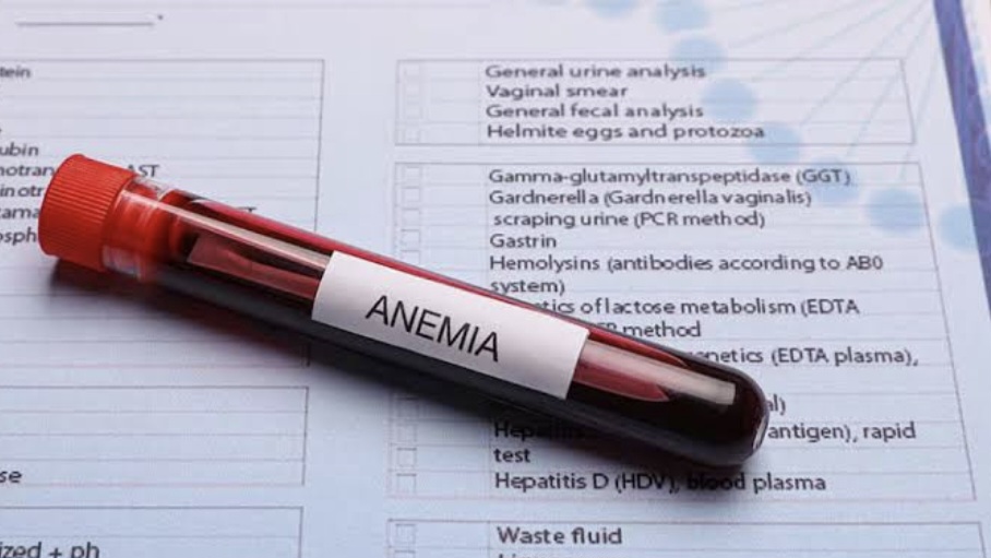 Tamil Nadu’s Anaemia Burden: 57.4% of Children Aged 6–59 Months Affected, NFHS-5 Reveals